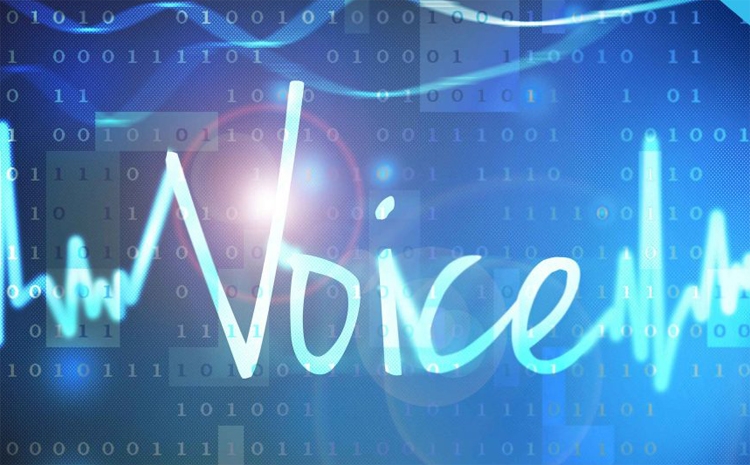 Voice